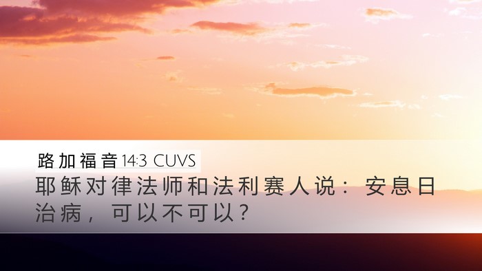 路 加 福 音 14:3 CUVS Bible Verse Image