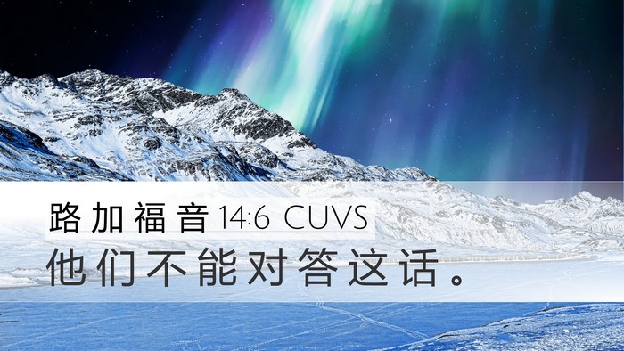 路 加 福 音 14:6 CUVS Desktop Wallpaper - 他 们 不 能 对 答 这 话 - Desktop Bible Verse Wallpaper