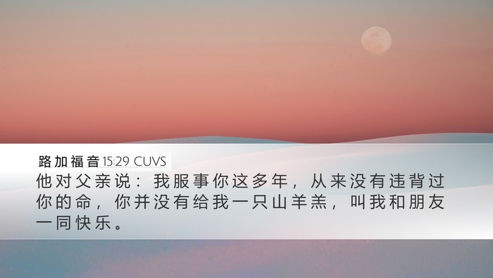 路 加 福 音 15:29 CUVS Bible Verse Image