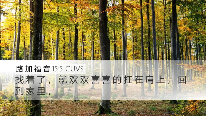 路 加 福 音 15:5 CUVS Desktop Wallpaper - 找 着 了 ， 就 欢 欢 喜 喜 的 扛 在 - Desktop Bible Verse Wallpaper