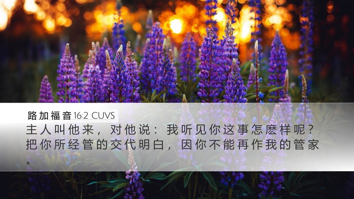 路 加 福 音 16:2 CUVS Bible Verse Image