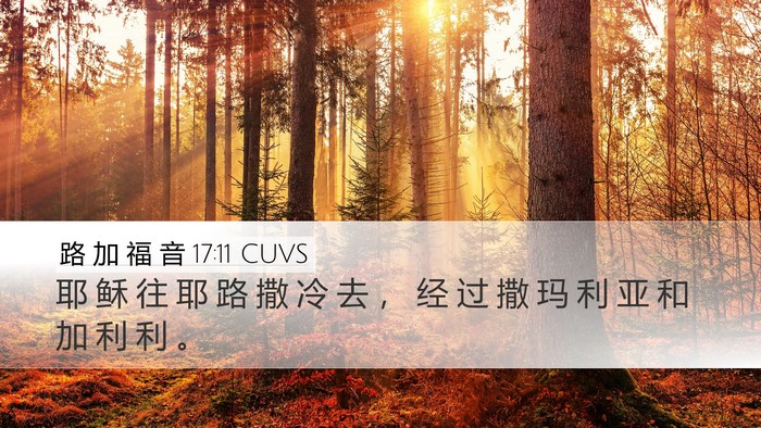 路 加 福 音 17:11 CUVS Bible Verse Image
