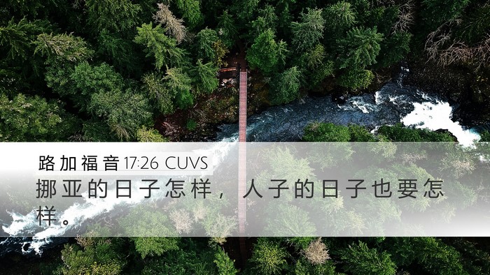 路 加 福 音 17:26 CUVS Bible Verse Image