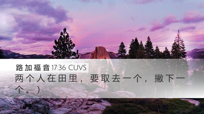 路 加 福 音 17:36 CUVS Desktop Wallpaper - 两 个 人 在 田 里 ， 要 取 去 一 个 - Desktop Bible Verse Wallpaper
