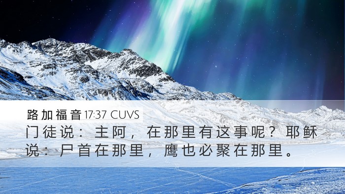 路 加 福 音 17:37 CUVS Bible Verse Image