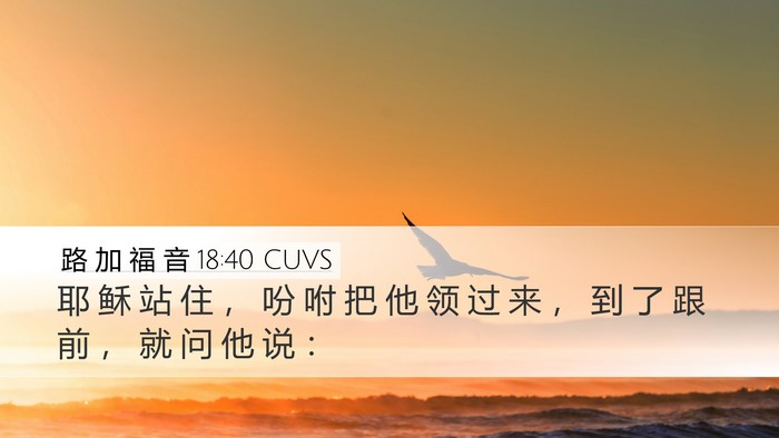 路 加 福 音 18:40 CUVS Desktop Wallpaper - 耶 稣 站 住 ， 吩 咐 把 他 领 过 来 - Desktop Bible Verse Wallpaper
