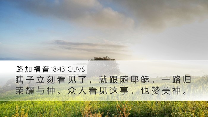 路 加 福 音 18:43 CUVS Bible Verse Image