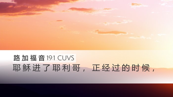 路 加 福 音 19:1 CUVS Bible Verse Image