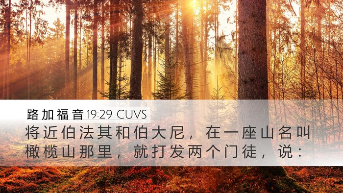 路 加 福 音 19:29 CUVS Bible Verse Image