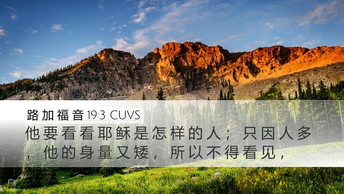 路 加 福 音 19:3 CUVS Bible Verse Image