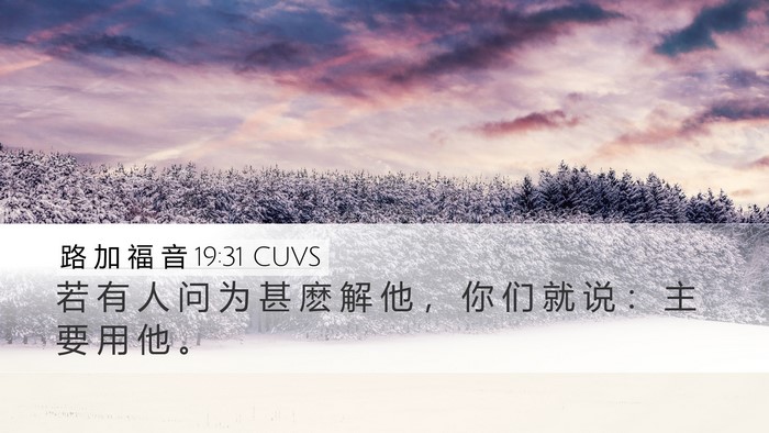 路 加 福 音 19:31 CUVS Bible Verse Image
