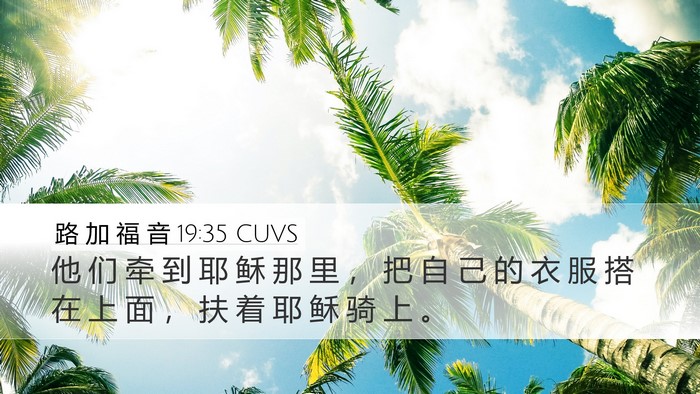 路 加 福 音 19:35 CUVS Bible Verse Image