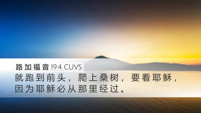 路 加 福 音 19:4 CUVS Bible Verse Image