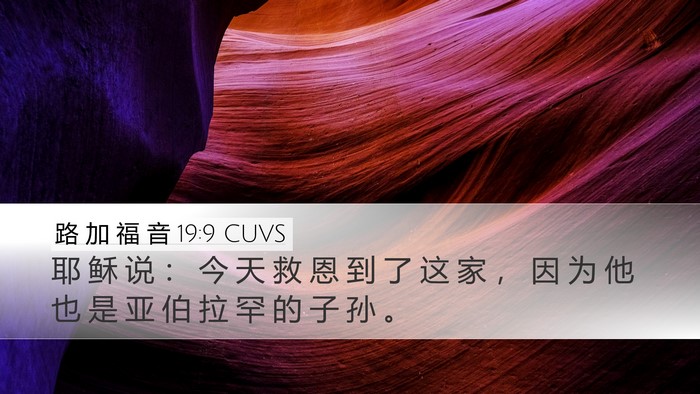 路 加 福 音 19:9 CUVS Bible Verse Image
