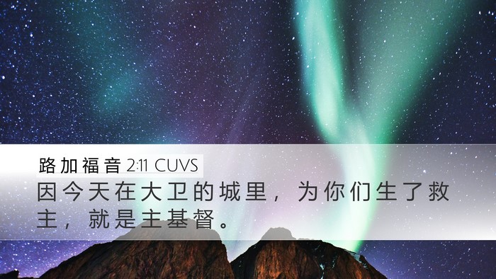 路 加 福 音 2:11 CUVS Desktop Wallpaper - 因 今 天 在 大 卫 的 城 里 ， 为 你 - Desktop Bible Verse Wallpaper