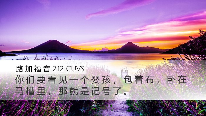 路 加 福 音 2:12 CUVS Bible Verse Image