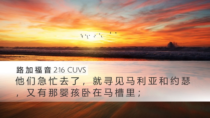 路 加 福 音 2:16 CUVS Bible Verse Image