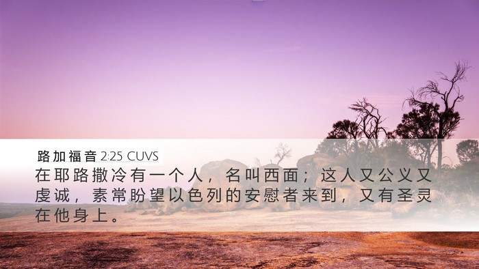 路 加 福 音 2:25 CUVS Bible Verse Image