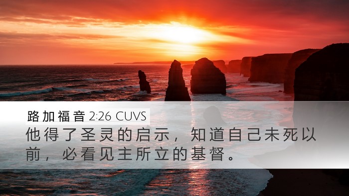 路 加 福 音 2:26 CUVS Bible Verse Image