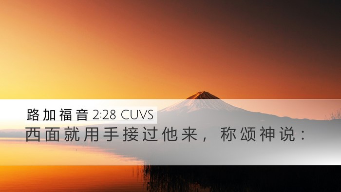 路 加 福 音 2:28 CUVS Bible Verse Image