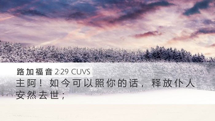 路 加 福 音 2:29 CUVS Desktop Wallpaper - 主 阿 ！ 如 今 可 以 照 你 的 话 ， - Desktop Bible Verse Wallpaper