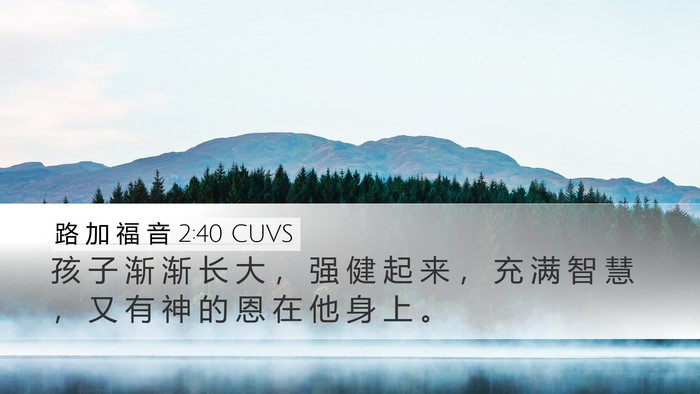 路 加 福 音 2:40 CUVS Bible Verse Image