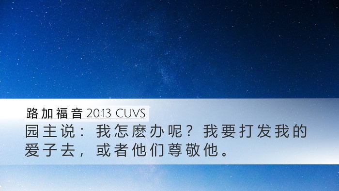 路 加 福 音 20:13 CUVS Desktop Wallpaper - 园 主 说 ： 我 怎 麽 办 呢 ？ 我 要 - Desktop Bible Verse Wallpaper