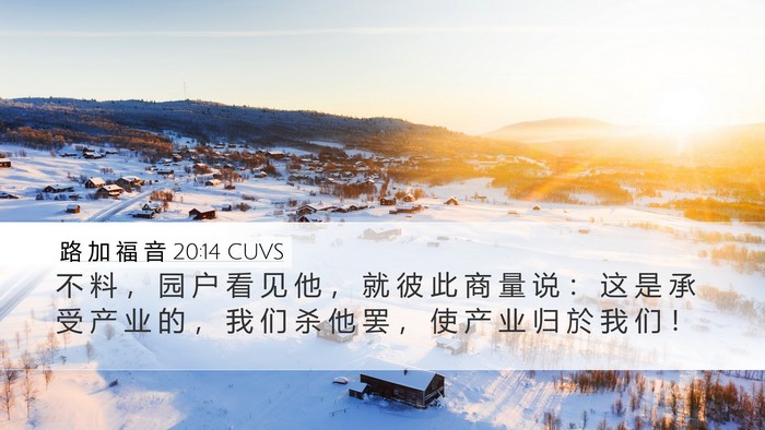 路 加 福 音 20:14 CUVS Bible Verse Image