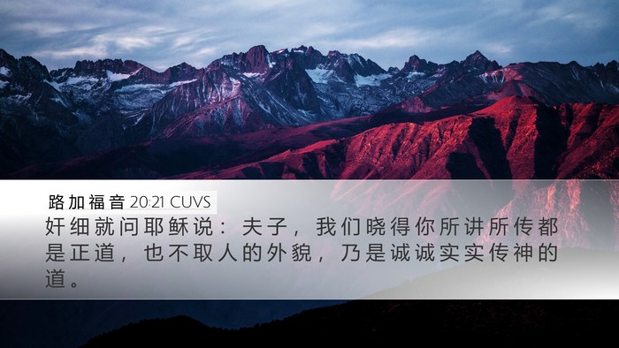 路 加 福 音 20:21 CUVS Bible Verse Image