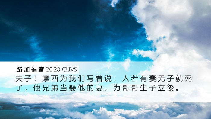 路 加 福 音 20:28 CUVS Bible Verse Image