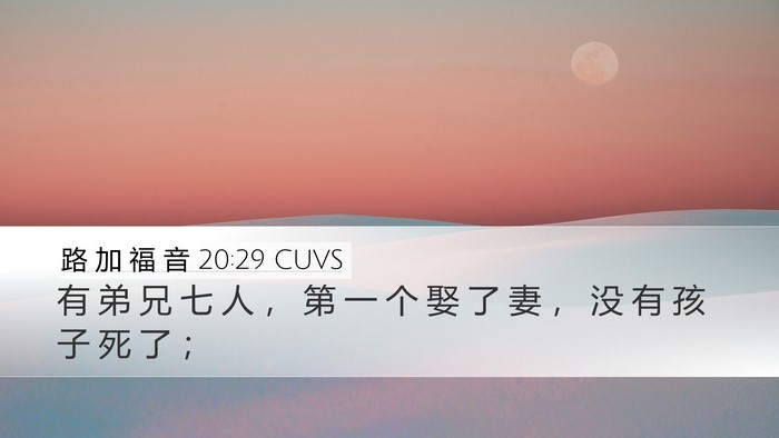 路 加 福 音 20:29 CUVS Bible Verse Image