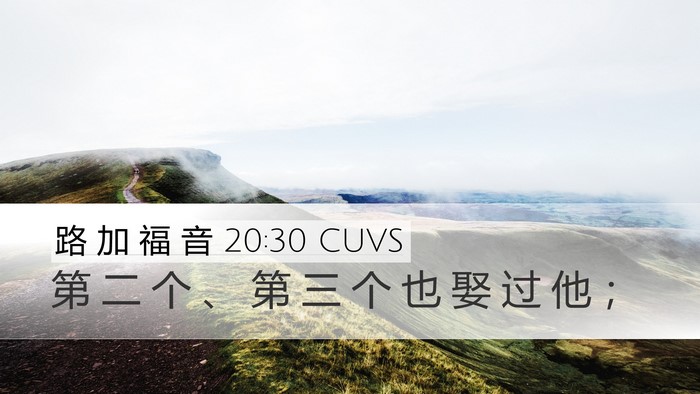 路 加 福 音 20:30 CUVS Desktop Wallpaper - 第 二 个 、 第 三 个 也 娶 过 他 - Desktop Bible Verse Wallpaper