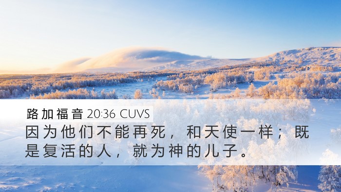 路 加 福 音 20:36 CUVS Bible Verse Image