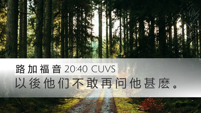 路 加 福 音 20:40 CUVS Bible Verse Image