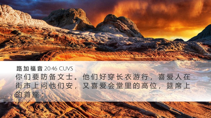 路 加 福 音 20:46 CUVS Bible Verse Image