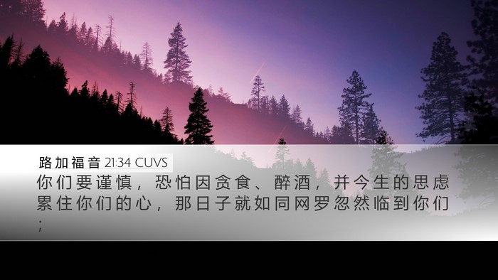 路 加 福 音 21:34 CUVS Bible Verse Image