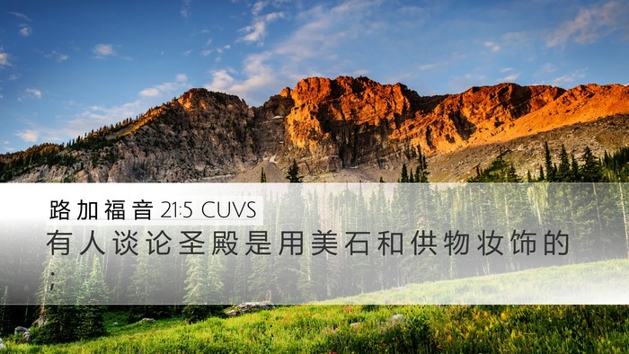 路 加 福 音 21:5 CUVS Bible Verse Image