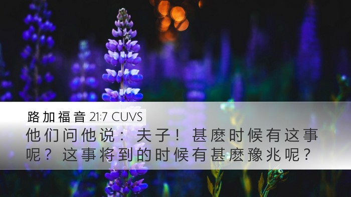 路 加 福 音 21:7 CUVS Bible Verse Image