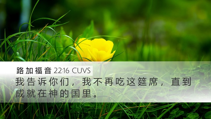 路 加 福 音 22:16 CUVS Bible Verse Image