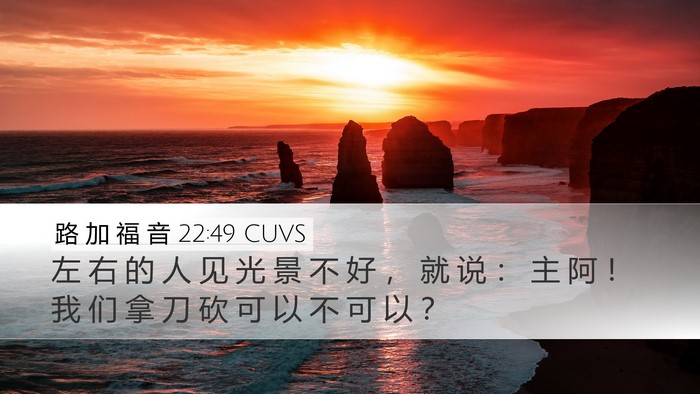 路 加 福 音 22:49 CUVS Bible Verse Image
