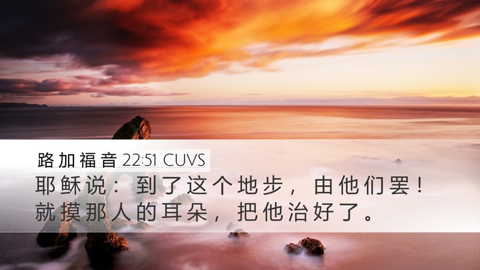 路 加 福 音 22:51 CUVS Desktop Wallpaper - 耶 稣 说 ： 到 了 这 个 地 步 ， 由 - Desktop Bible Verse Wallpaper