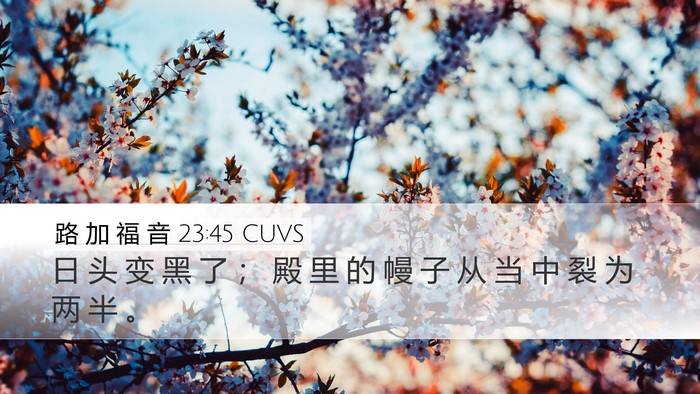 路 加 福 音 23:45 CUVS Desktop Wallpaper - 日 头 变 黑 了 ； 殿 里 的 幔 子 从 - Desktop Bible Verse Wallpaper