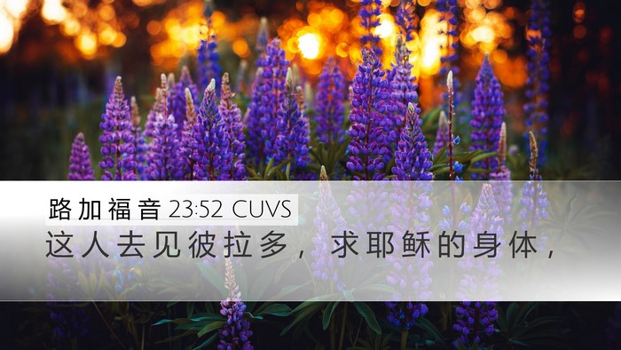 路 加 福 音 23:52 CUVS Bible Verse Image