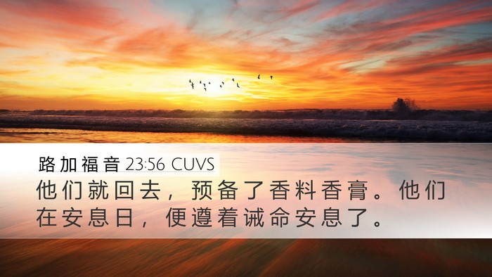 路 加 福 音 23:56 CUVS Desktop Wallpaper - 他 们 就 回 去 ， 预 备 了 香 料 香 - Desktop Bible Verse Wallpaper