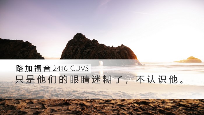路 加 福 音 24:16 CUVS Desktop Wallpaper - 只 是 他 们 的 眼 睛 迷 糊 了 ， 不 - Desktop Bible Verse Wallpaper