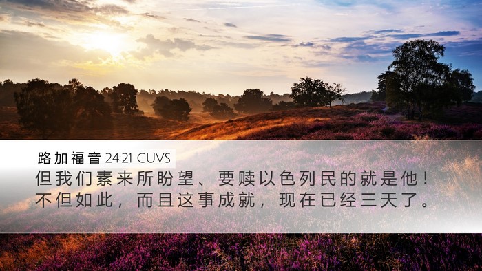 路 加 福 音 24:21 CUVS Bible Verse Image