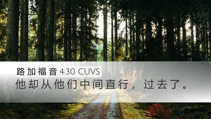 路 加 福 音 4:30 CUVS Desktop Wallpaper - 他 却 从 他 们 中 间 直 行 ， 过 去 - Desktop Bible Verse Wallpaper