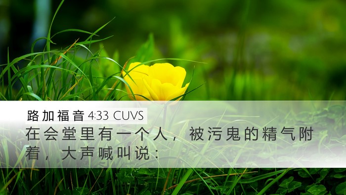 路 加 福 音 4:33 CUVS Desktop Wallpaper - 在 会 堂 里 有 一 个 人 ， 被 污 鬼 - Desktop Bible Verse Wallpaper