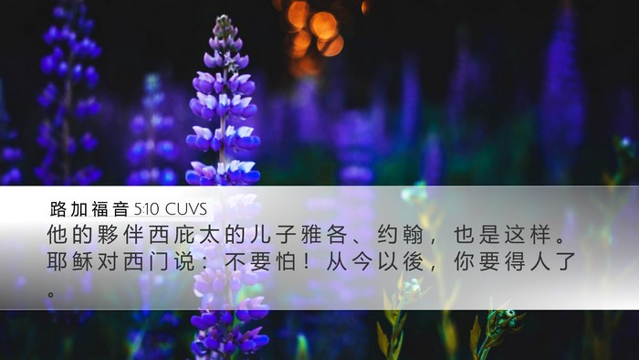 路 加 福 音 5:10 CUVS Desktop Wallpaper - 他 的 夥 伴 西 庇 太 的 儿 子 雅 各 - Desktop Bible Verse Wallpaper
