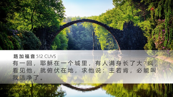 路 加 福 音 5:12 CUVS Bible Verse Image